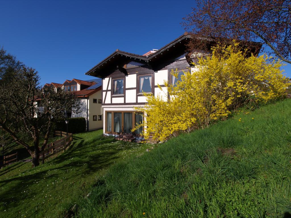 Silbertanne Rotenburg an der Fulda